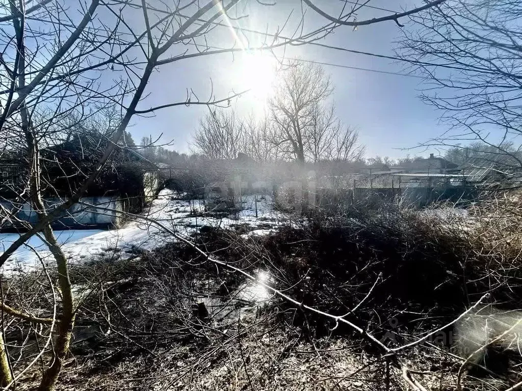 Участок в Белгородская область, Яковлевский муниципальный округ, с. ... - Фото 2