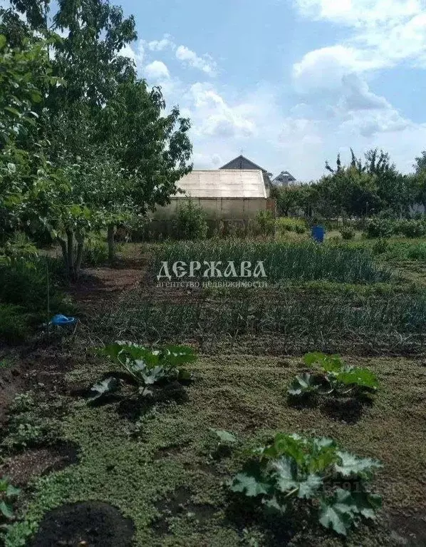 Участок в Белгородская область, Старооскольский городской округ, с. ... - Фото 1