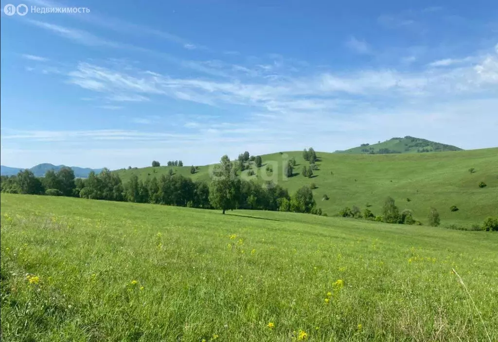 Участок в Чемальский район, село Аюла (1800 м) - Фото 1