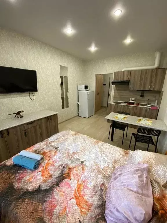 Студия Санкт-Петербург ул. Плесецкая, 10 (25.0 м) - Фото 1