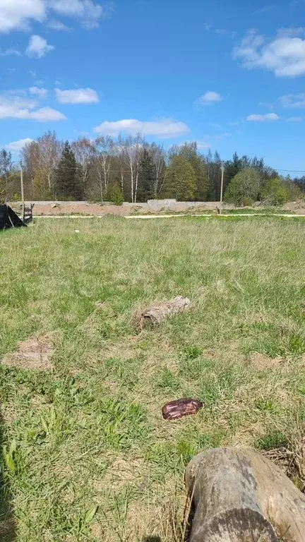 Участок 12 сот. (ИЖС) - Фото 0