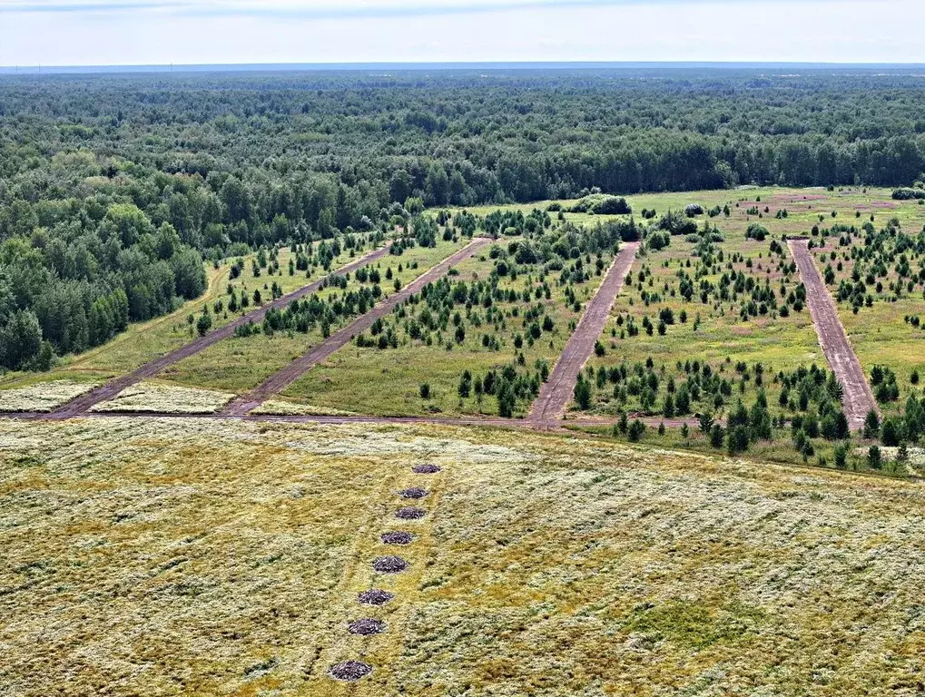 Участок в Тюменская область, Тюменский район, с. Каменка, Завидово кп  ... - Фото 1