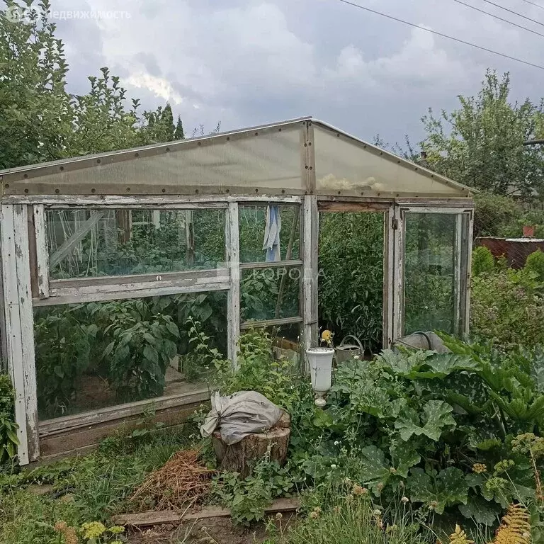 Дом в Барнаул, СНТ Трансмаш, 86 (60 м) - Фото 2