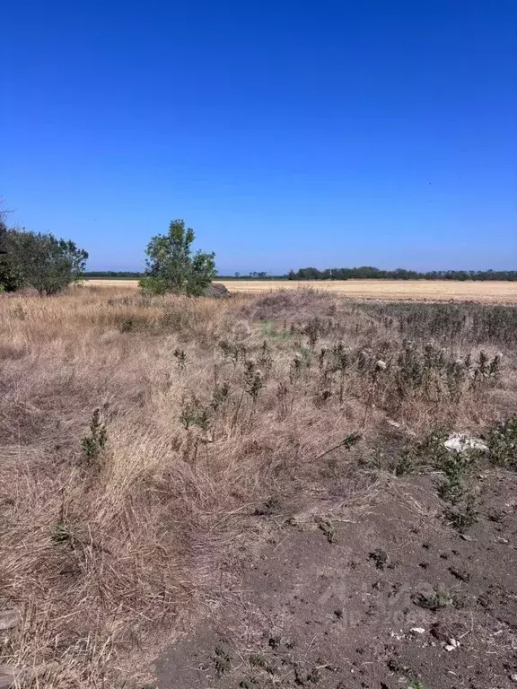 Участок в Краснодарский край, Ейское городское поселение, пос. ... - Фото 0