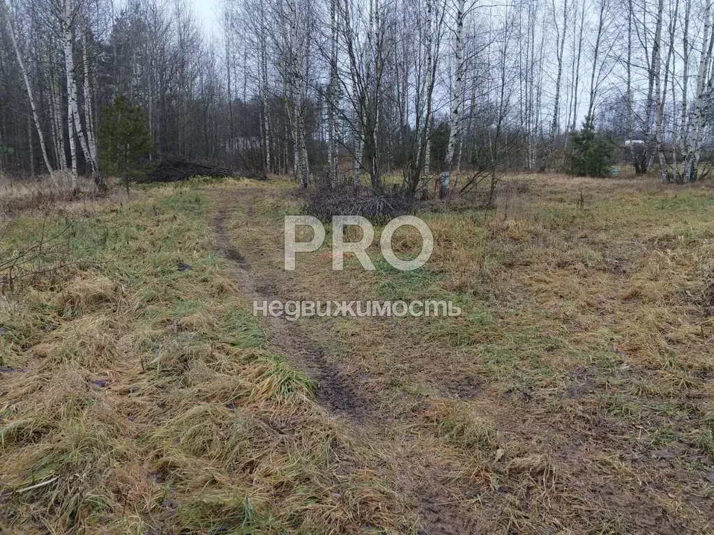 Участок в Ярославская область, Ярославский муниципальный округ, д. ... - Фото 2