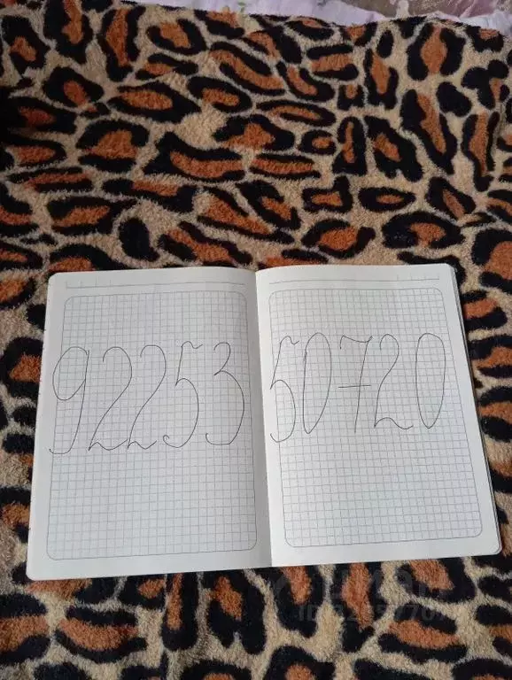 Дом в Оренбургская область, Соль-Илецк Акбулакская ул., 27 (50 м) - Фото 2