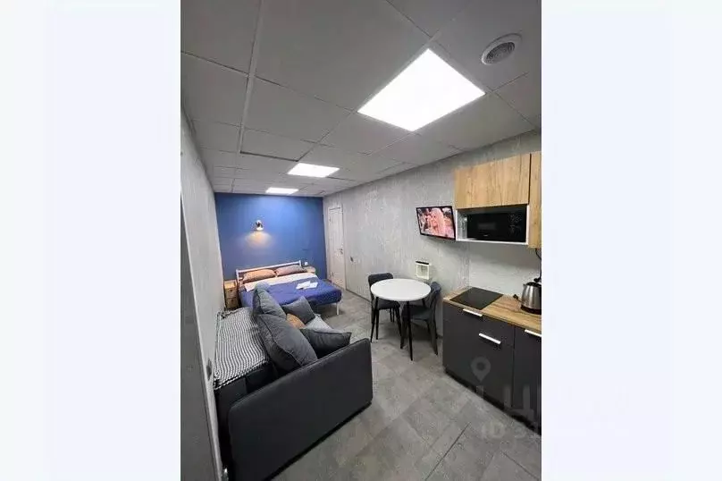 1-к кв. Свердловская область, Екатеринбург ул. Маяковского, 29 (25.0 ... - Фото 1