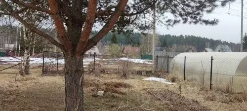 Дом в Московская область, Пушкинский городской округ, д. Лепешки  (56 ... - Фото 2