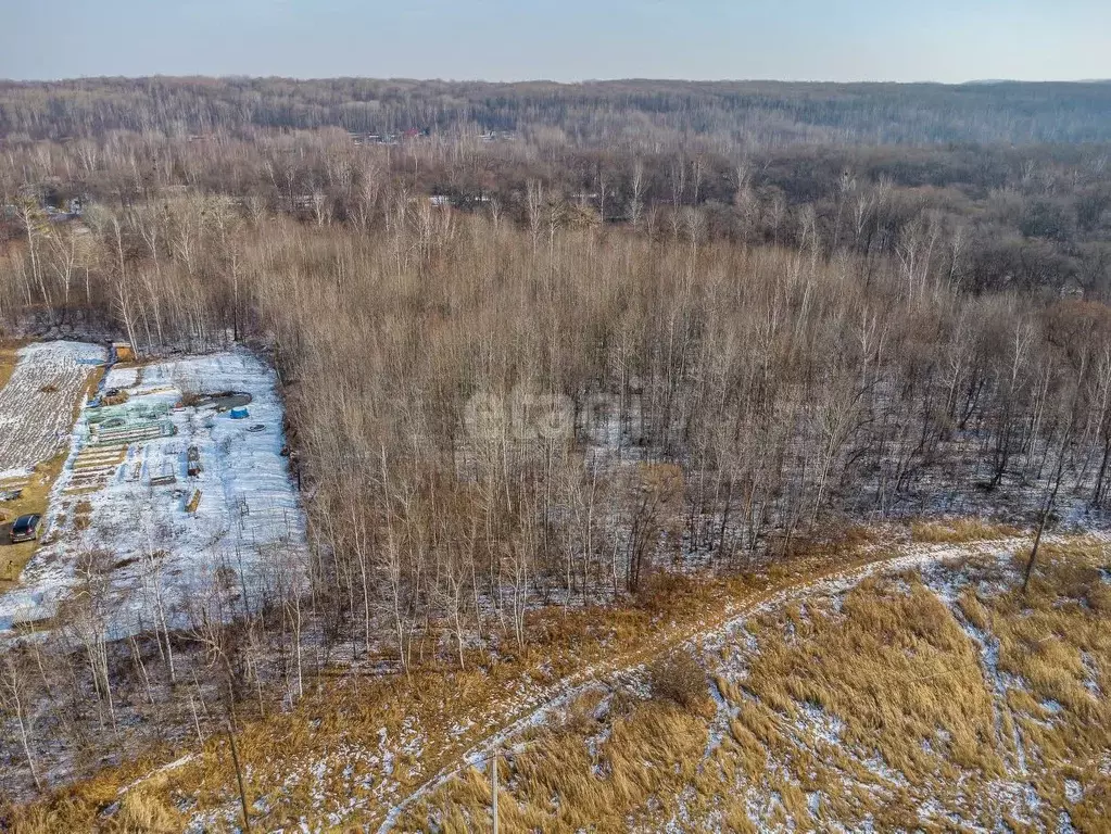 Участок в Хабаровский край, Хабаровский район, Осиновореченское с/пос, ... - Фото 2