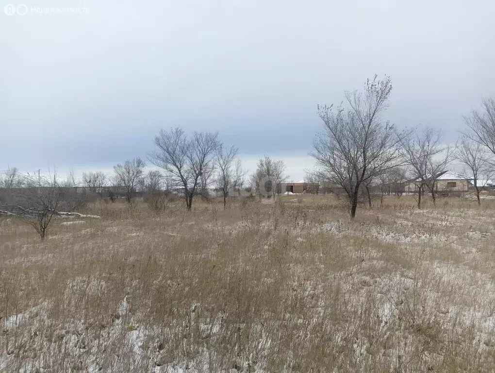 Участок в Калининский сельсовет, улица Согласия (14 м) - Фото 0