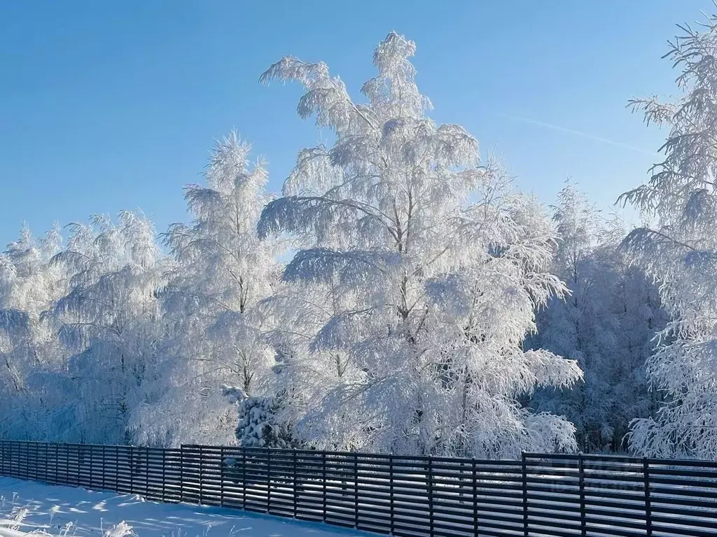 Участок в Московская область, Серпухов городской округ, д. Михайловка  ... - Фото 1