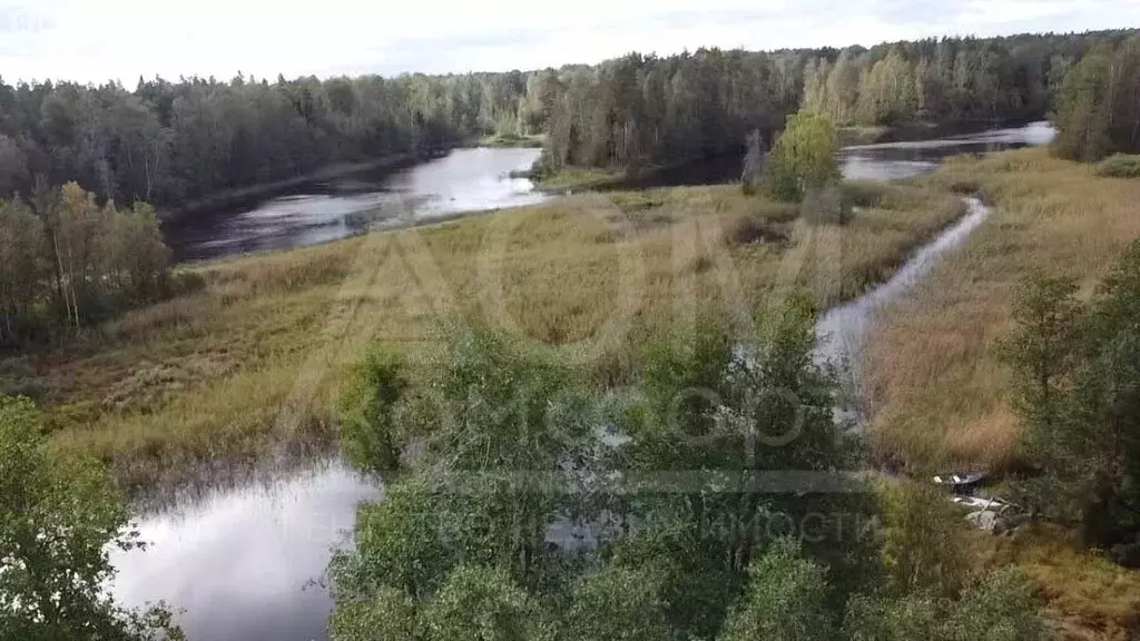 Участок в посёлок Быково, Центральная улица (43.9 м) - Фото 1