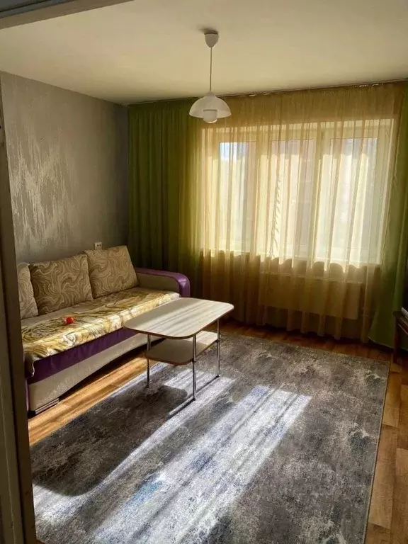 1-к кв. Красноярский край, Красноярск ул. Дмитрия Мартынова, 25 (40.0 ... - Фото 1