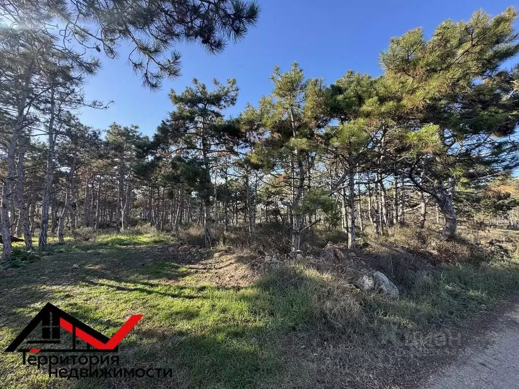 Участок в Севастополь Скалистый-89 СНТ, 3 (5.0 сот.) - Фото 2