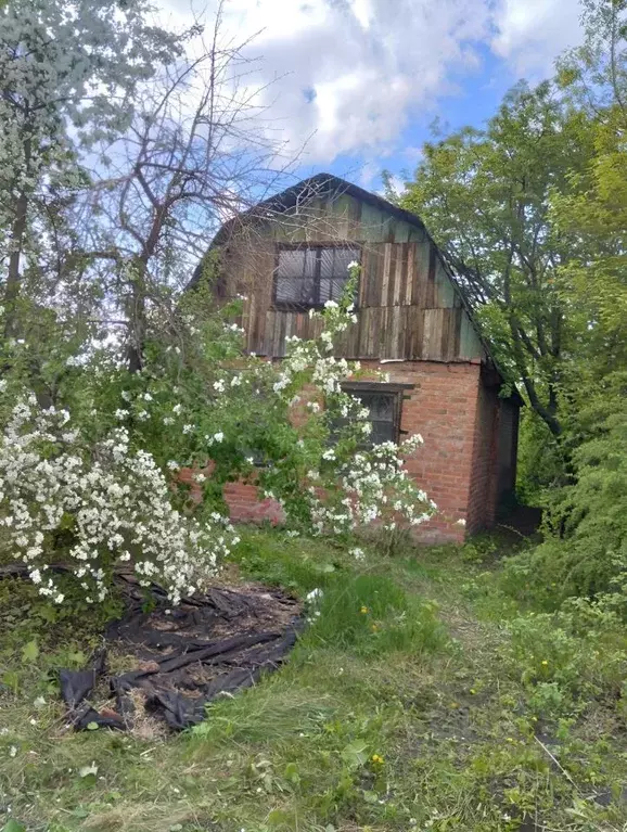 Дом в Омская область, Омск Каучук СНТ,  (45 м) - Фото 0