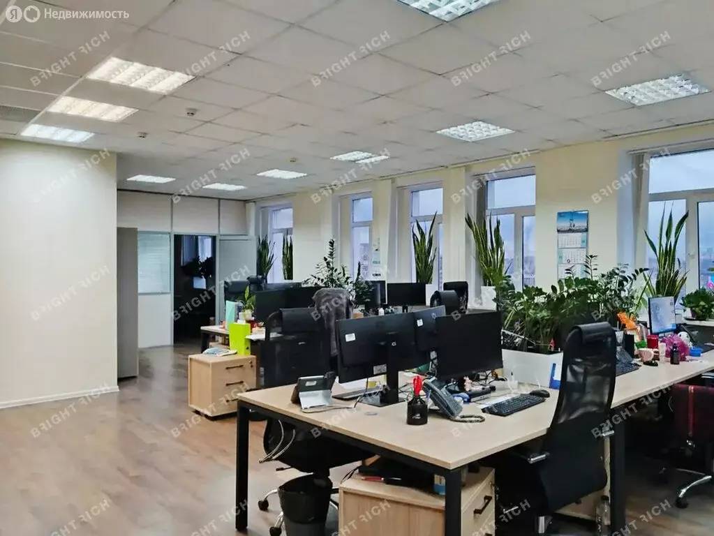 Офис (354.5 м) - Фото 2