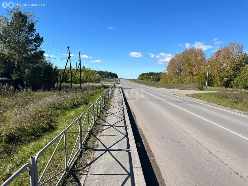 Участок в Колыванский район, СНТ Большая Семья (10 м) - Фото 0