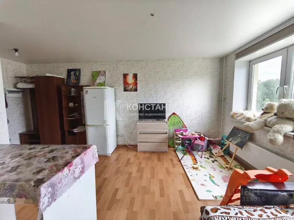 Студия Челябинская область, Красноармейский муниципальный округ, с. ... - Фото 0