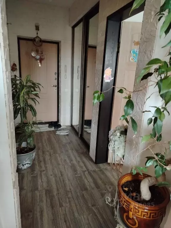 1-к кв. Калужская область, Калуга ул. Георгия Димитрова, 8 (28.0 м) - Фото 1