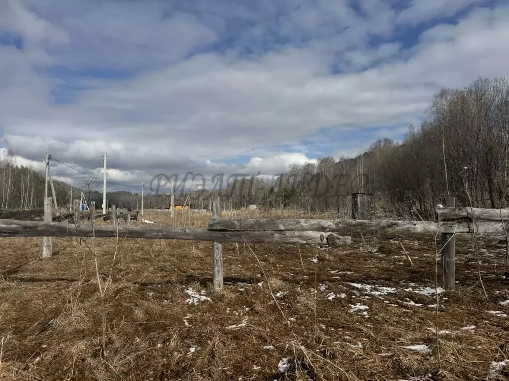 Участок в Алтай, Майминский район Р-256 Чуйский тракт, 472-й км (10.0 ... - Фото 1