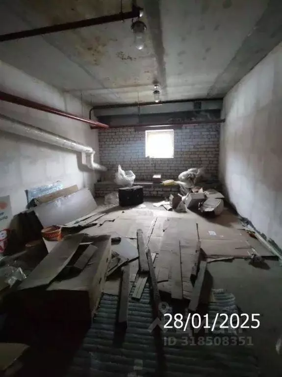 Помещение свободного назначения в Нижегородская область, Нижний ... - Фото 0