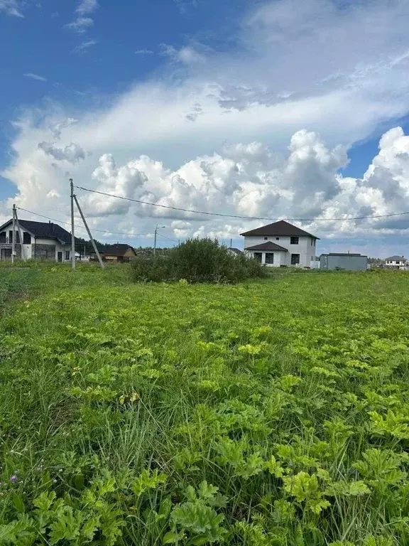 Участок в Московская область, Пушкинский городской округ, Аляска кп  ... - Фото 0