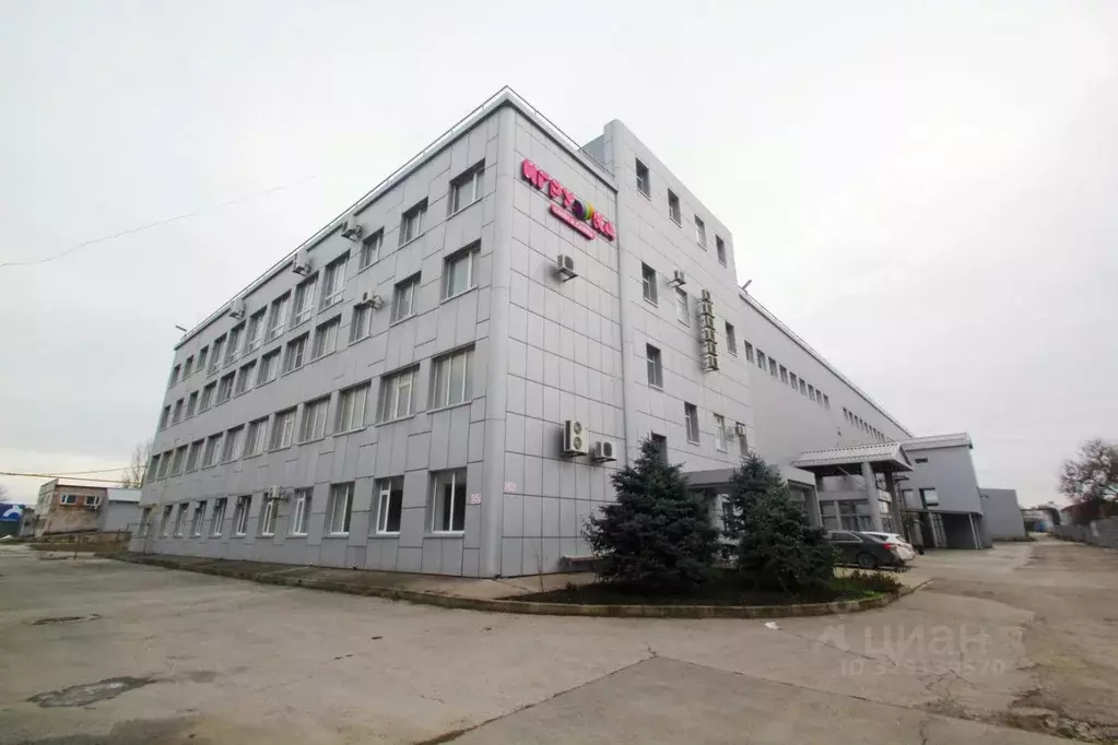 Помещение свободного назначения в Ростовская область, Ростов-на-Дону ... - Фото 1