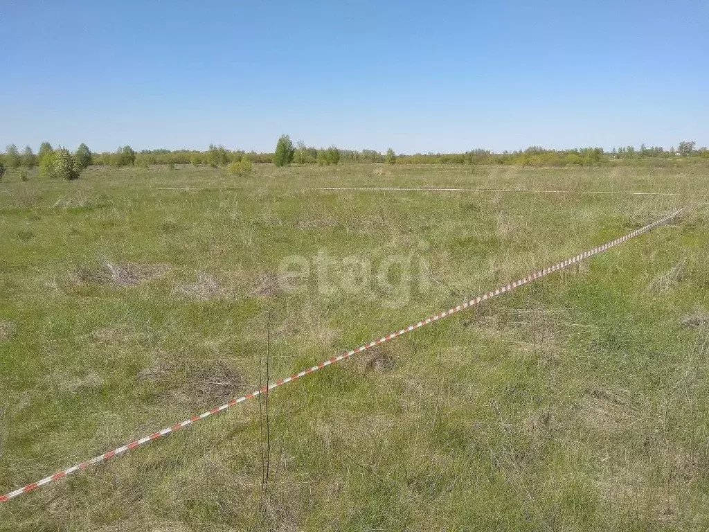 Участок в Тамбовская область, Котовск ул. Кузьминская (10.04 сот.) - Фото 1