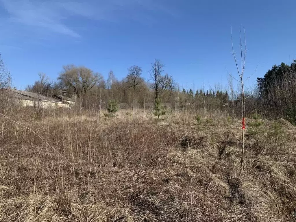 Участок в Москва пос. Фабрики имени 1 Мая, 30А (92.0 сот.) - Фото 1