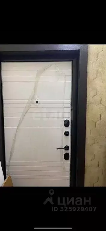 1-к кв. Алтайский край, Барнаул просп. Строителей, 38 (35.7 м) - Фото 1