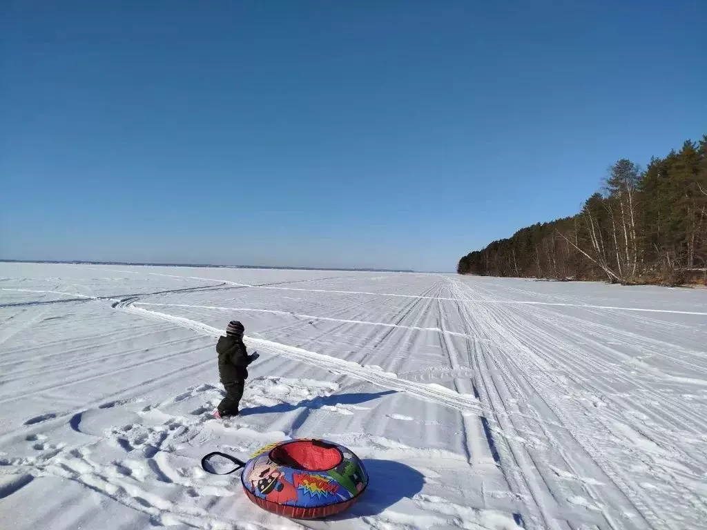 Дом в Нижегородская область, Сокольский муниципальный округ, д. ... - Фото 2