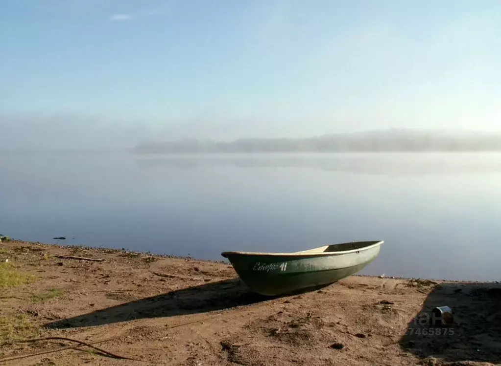 Участок в Тверская область, Осташковский муниципальный округ, д. ... - Фото 1