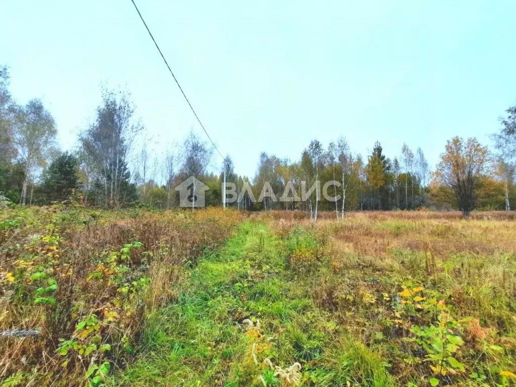 Участок в Владимирская область, Владимир сад Заречье, 44 (10.0 сот.) - Фото 1