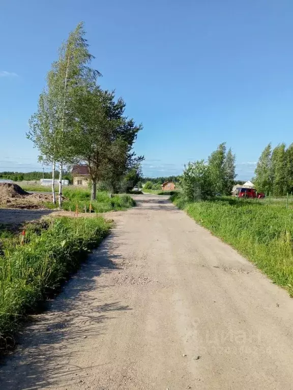 Дом в Ярославская область, Ярославский муниципальный округ, д. ... - Фото 1