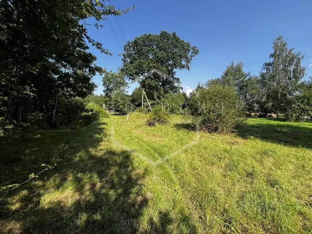 Участок в Калининградская область, Полесск Лесная ул., 58 (12.0 сот.) - Фото 1