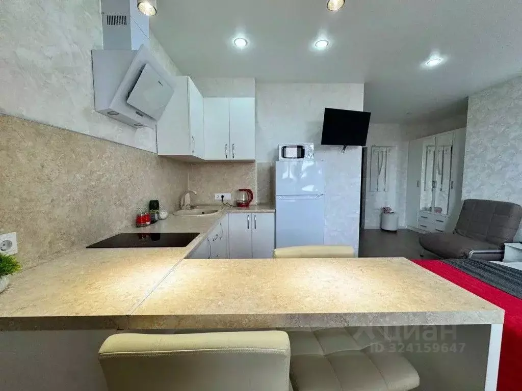 1-к кв. Ростовская область, Ростов-на-Дону, Нахичевань ул. 26-я Линия, ... - Фото 2