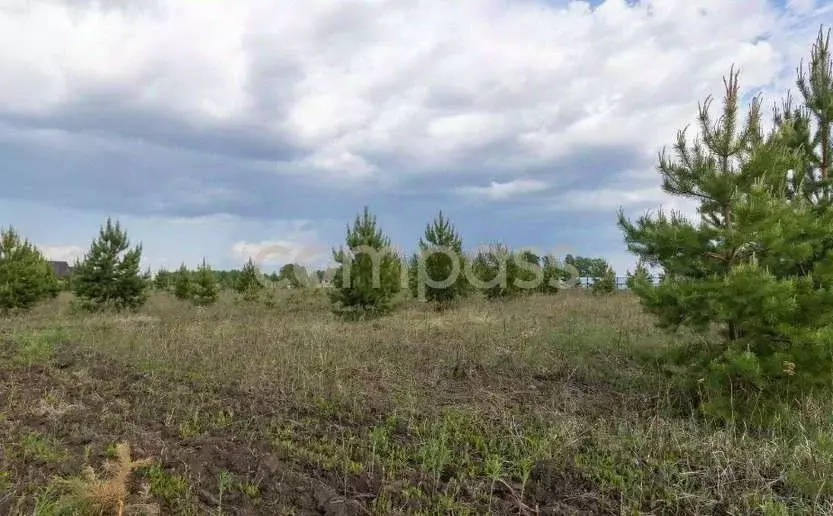 Участок в Тюменская область, Тюменский район, Новокаменский кп ул. ... - Фото 1