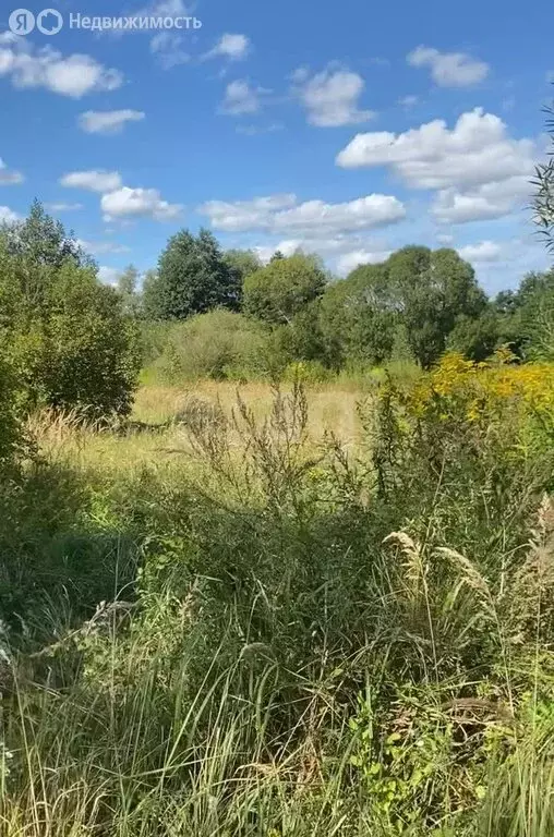 Участок в Калининградская область, Гвардейск (12 м) - Фото 1