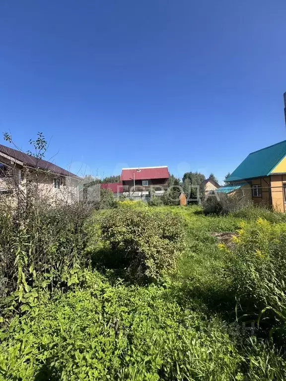Участок в Новосибирская область, Новосибирск Сибирский авиатор СПК, ... - Фото 1