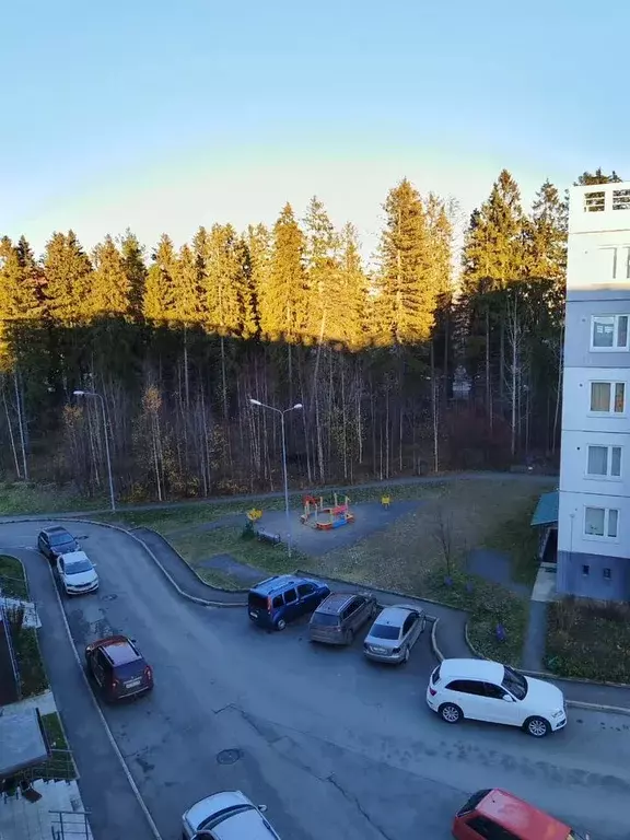 1-к кв. Карелия, Петрозаводск ул. Софьи Ковалевской, 10 (35.0 м) - Фото 1