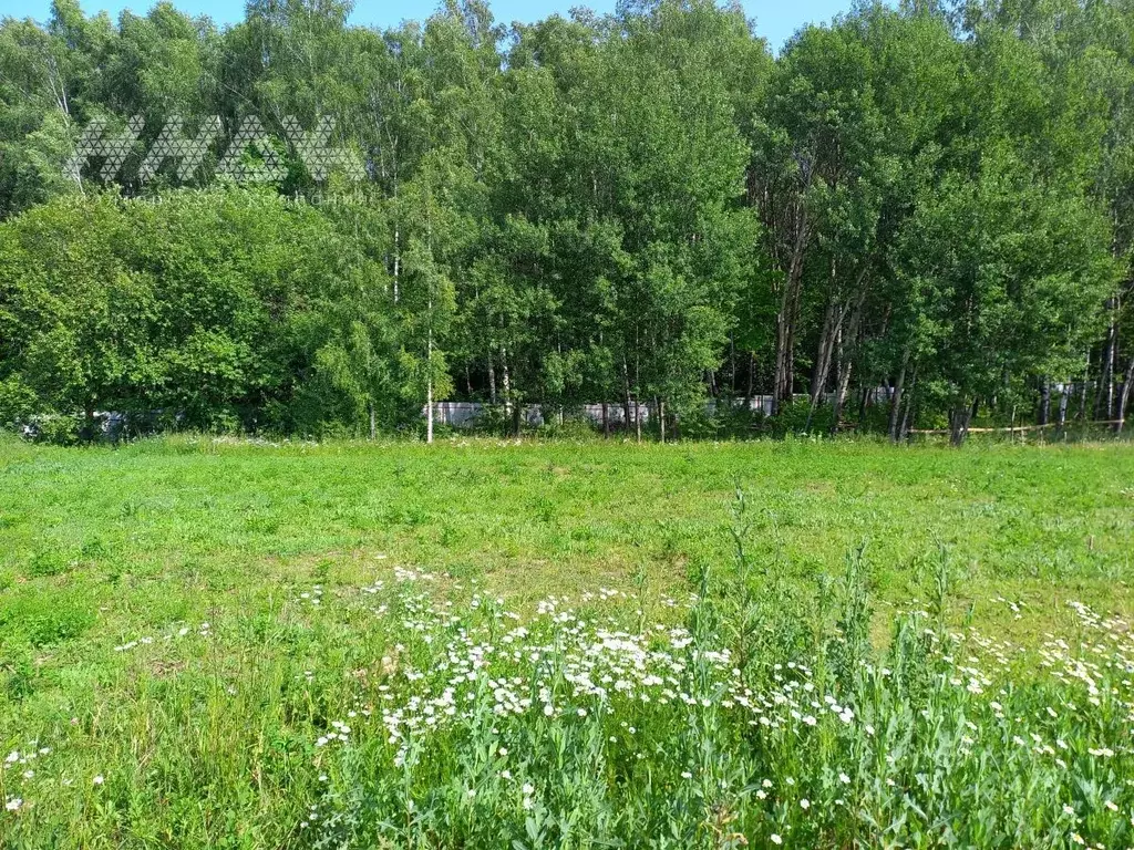 Участок в Нижегородская область, Дальнеконстантиновский муниципальный ... - Фото 0