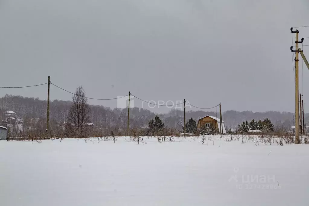 Участок в Кемеровская область, Новокузнецкий муниципальный округ, с. ... - Фото 1