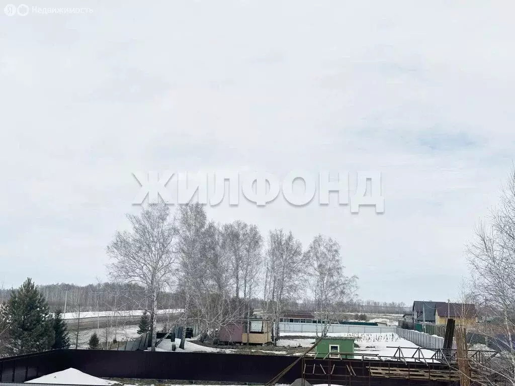 Участок в Новосибирский район, село Ярково (8.14 м) - Фото 2