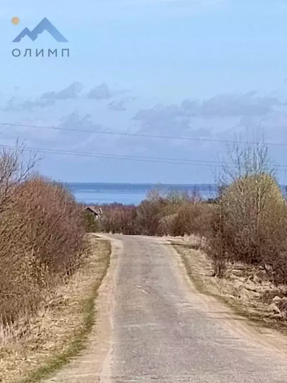 Участок в Вологодская область, д. Ирхино ул. Вишневая (15.0 сот.) - Фото 0