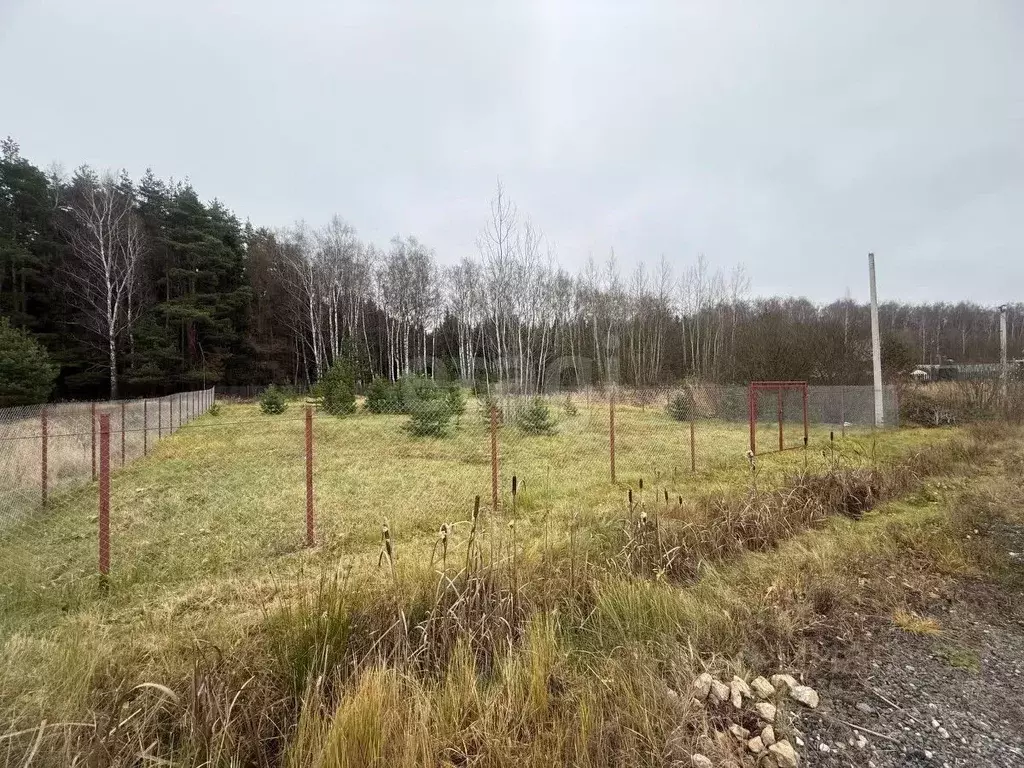 Участок в Московская область, Домодедово Белые Столбы мкр, ул. ... - Фото 2