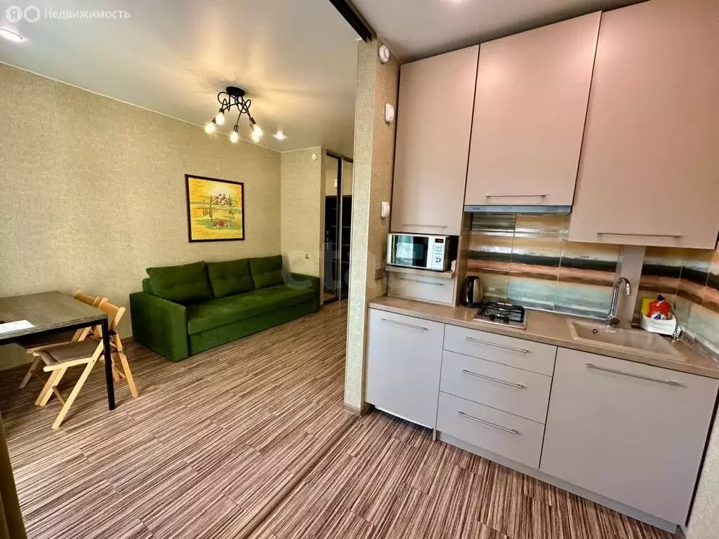 Квартира-студия: Светлогорск, Майский проезд, 19 (27 м) - Фото 1