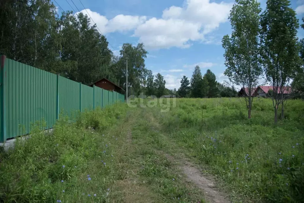 Участок в Новосибирская область, Искитимский район, Морозовский ... - Фото 0