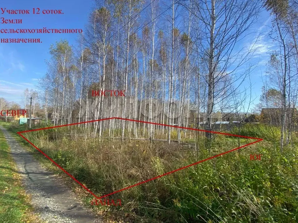 Участок в Новосибирская область, Новосибирский район, Раздольненский ... - Фото 1