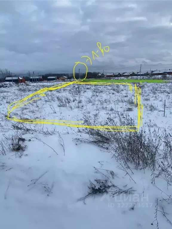 Участок в Новгородская область, Новгородский район, Савинское с/пос, ... - Фото 1