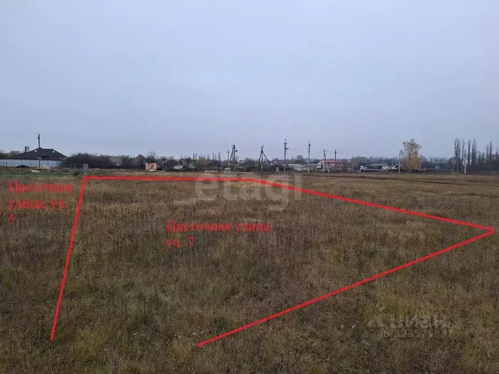 Участок в Воронежская область, Верхнехавский район, Углянское с/пос, ... - Фото 1